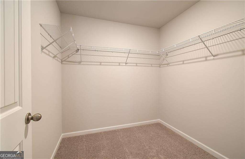 639 Leafy Branch Way Mcdonough - Photo 25