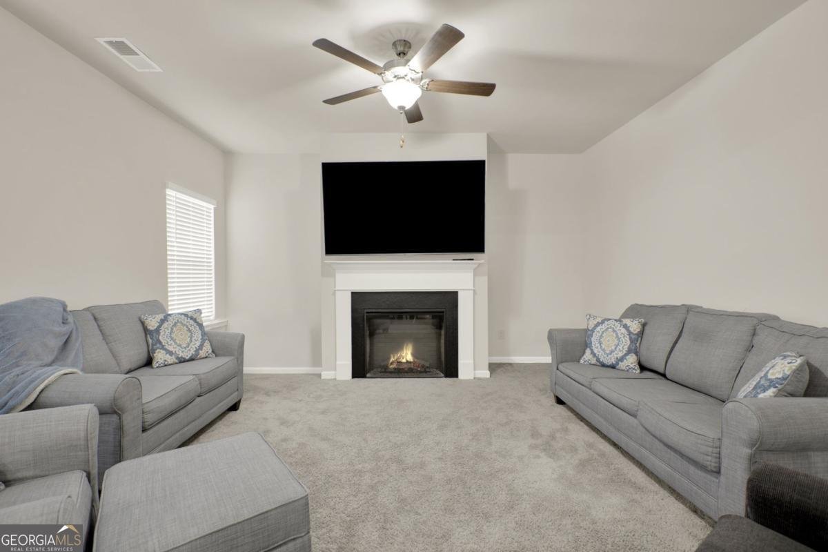 17 Joplin Street Rome - Photo 17