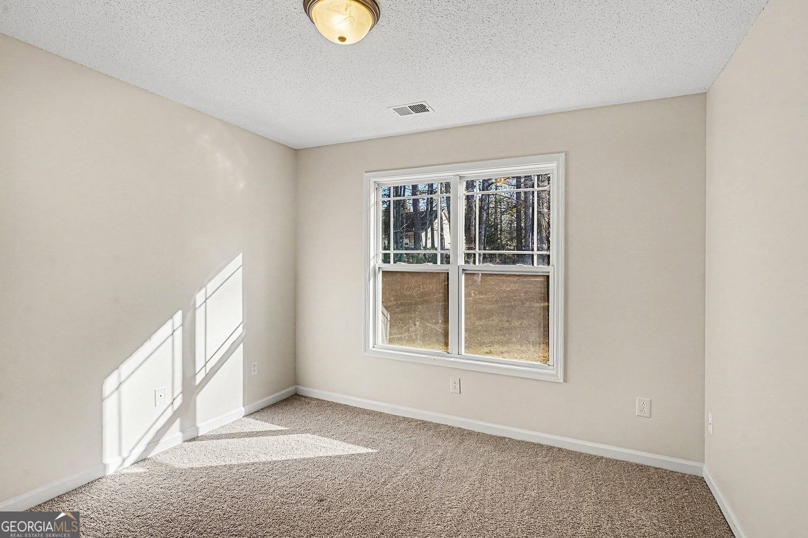 234 Lake Chase Drive Griffin - Photo 19