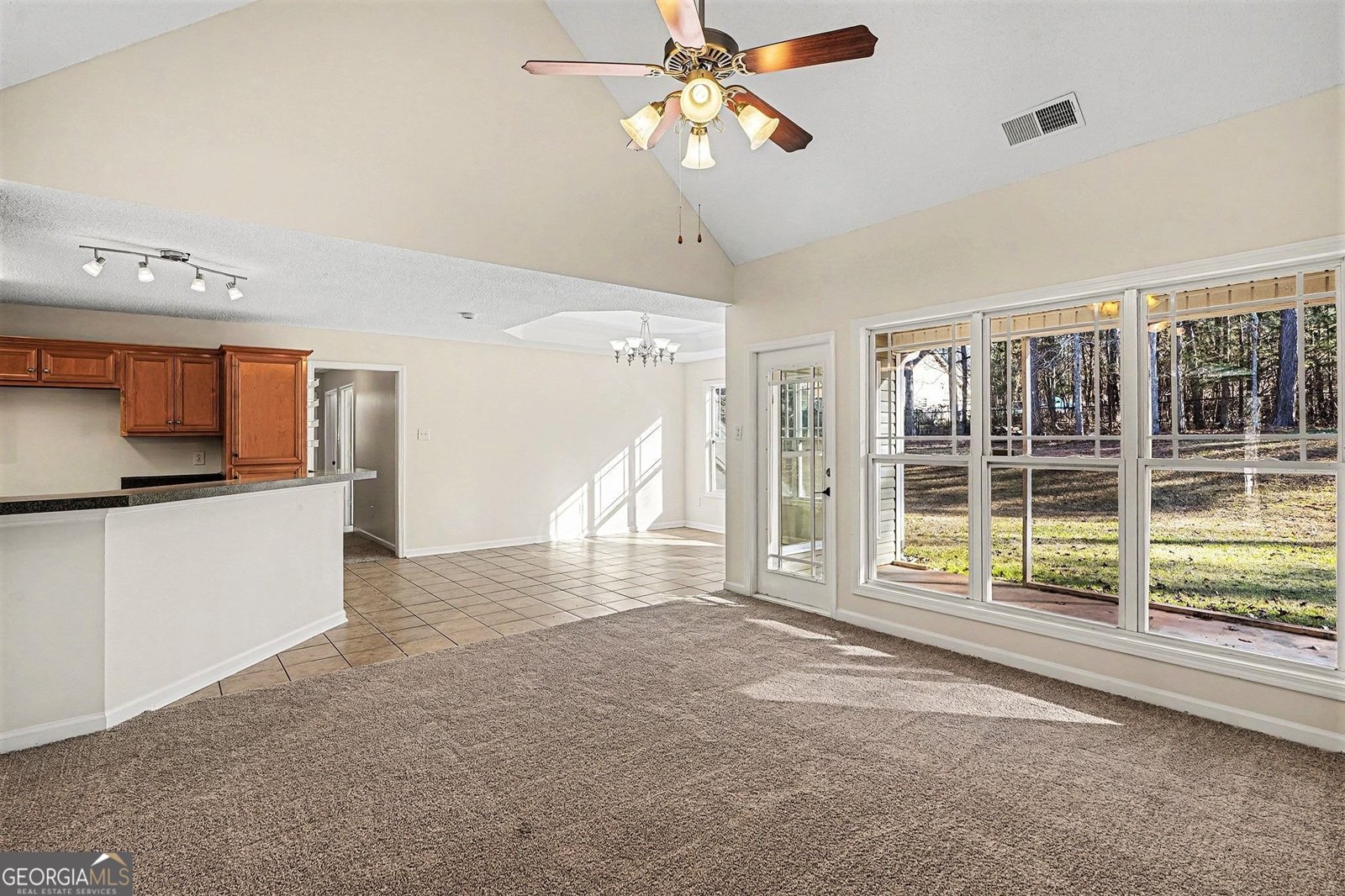 234 Lake Chase Drive Griffin - Photo 8