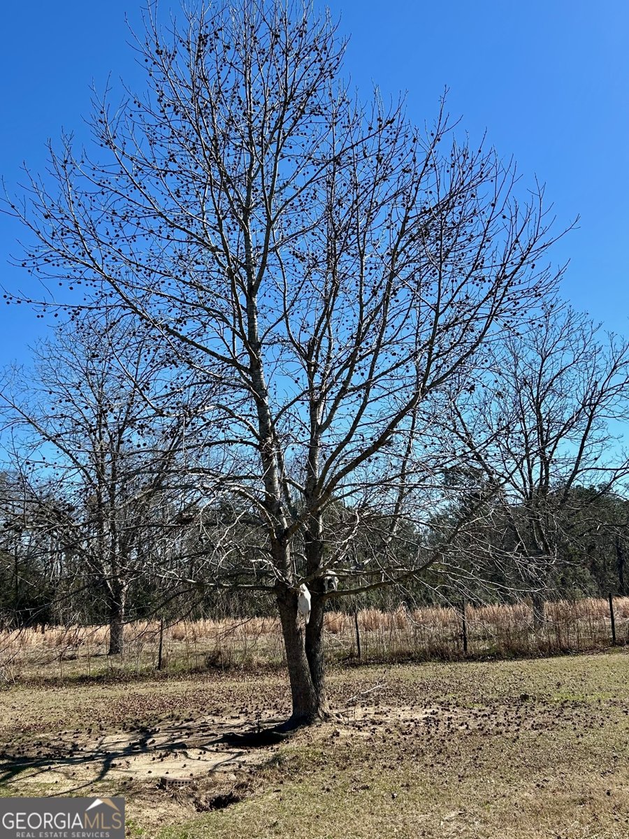 201 Claude Anderson Road Claxton - Photo 24