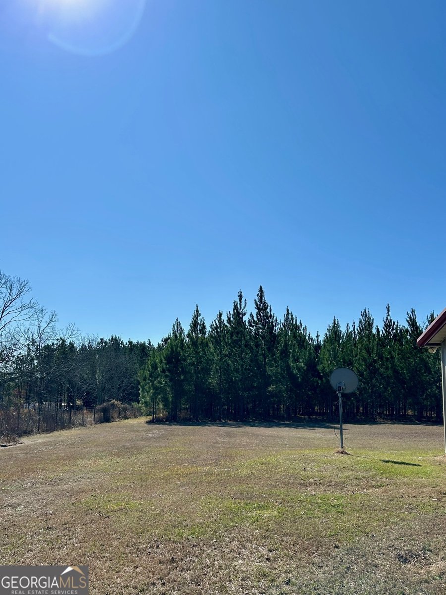 201 Claude Anderson Road Claxton - Photo 25