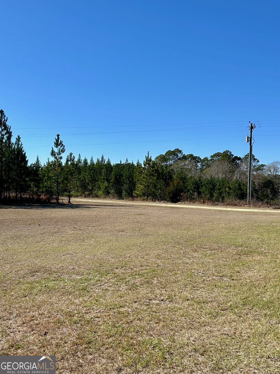 201 Claude Anderson Road Claxton - Photo 26