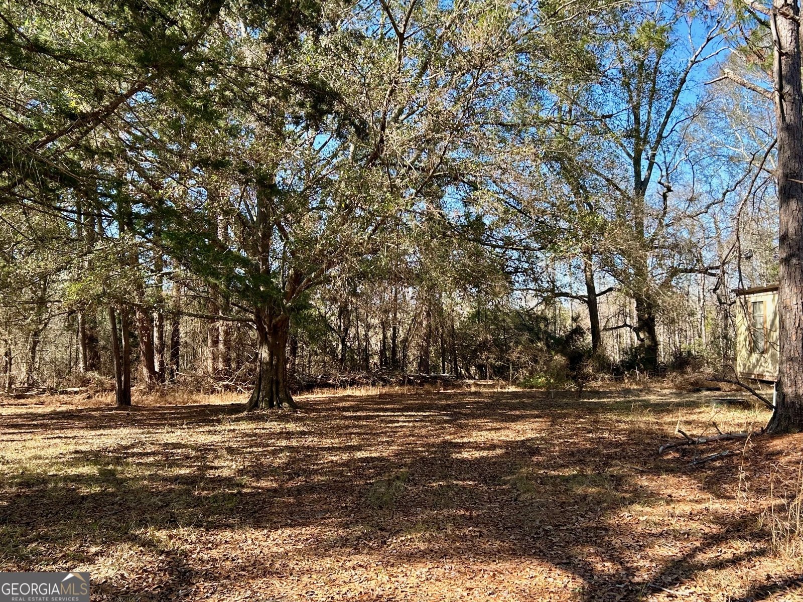 201 Claude Anderson Road Claxton - Photo 35