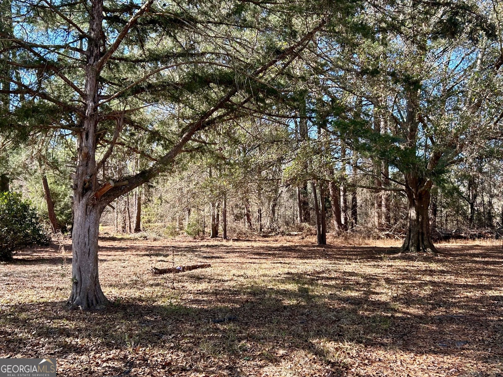 201 Claude Anderson Road Claxton - Photo 36