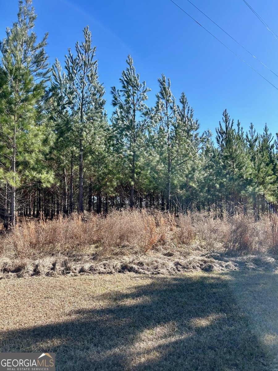 201 Claude Anderson Road Claxton - Photo 37