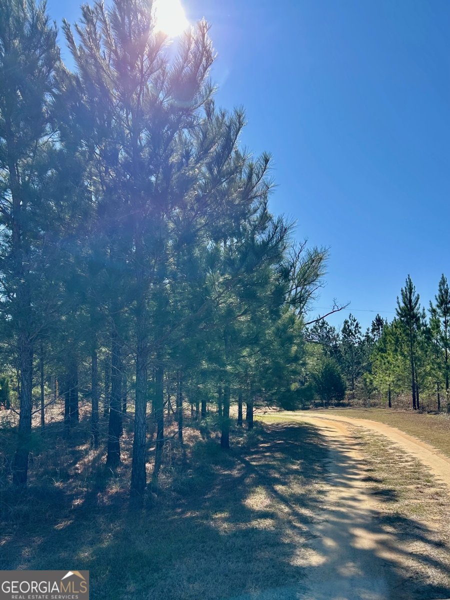 201 Claude Anderson Road Claxton - Photo 38