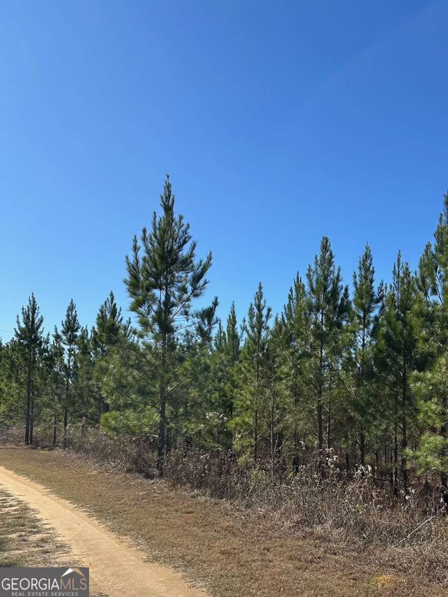 201 Claude Anderson Road Claxton - Photo 40