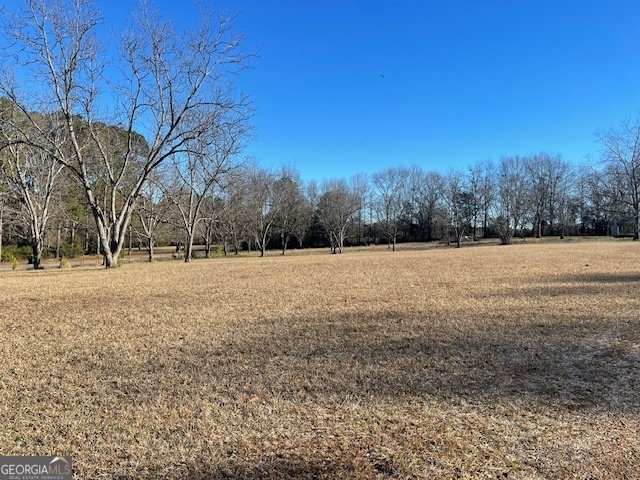 425 Trice Cemetery Road Thomaston - Photo 27