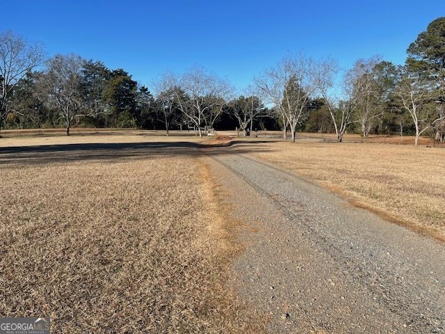 425 Trice Cemetery Road Thomaston - Photo 29