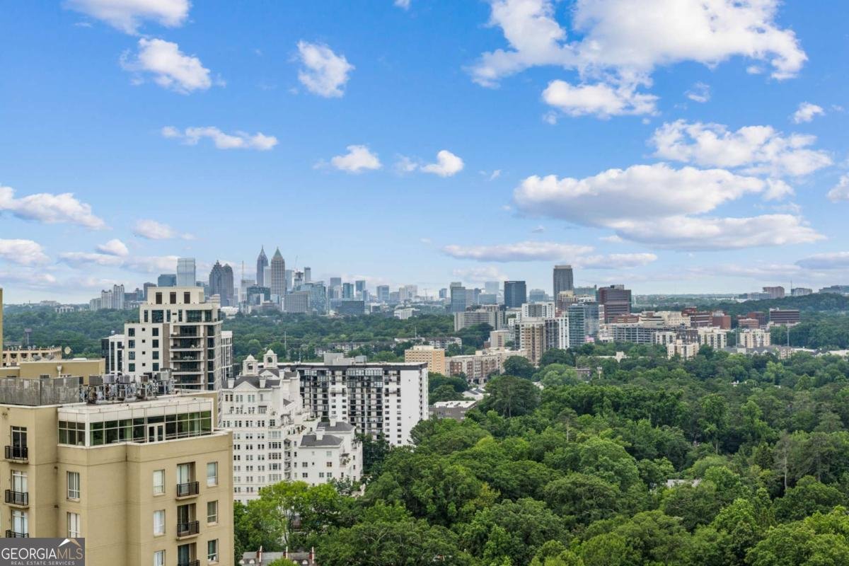 2660 Peachtree Road Atlanta - Photo 33