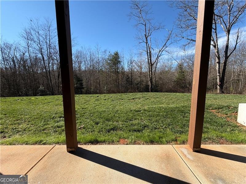 117 Joes Cove Dawsonville - Photo 42