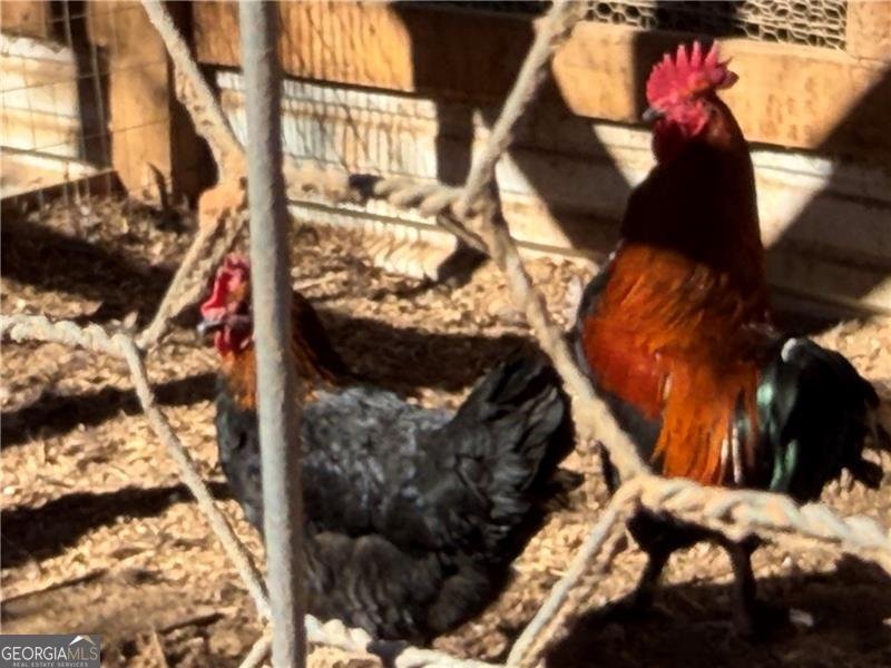 117 Joes Cove Dawsonville - Photo 62