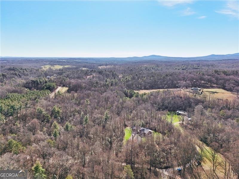 117 Joes Cove Dawsonville - Photo 64