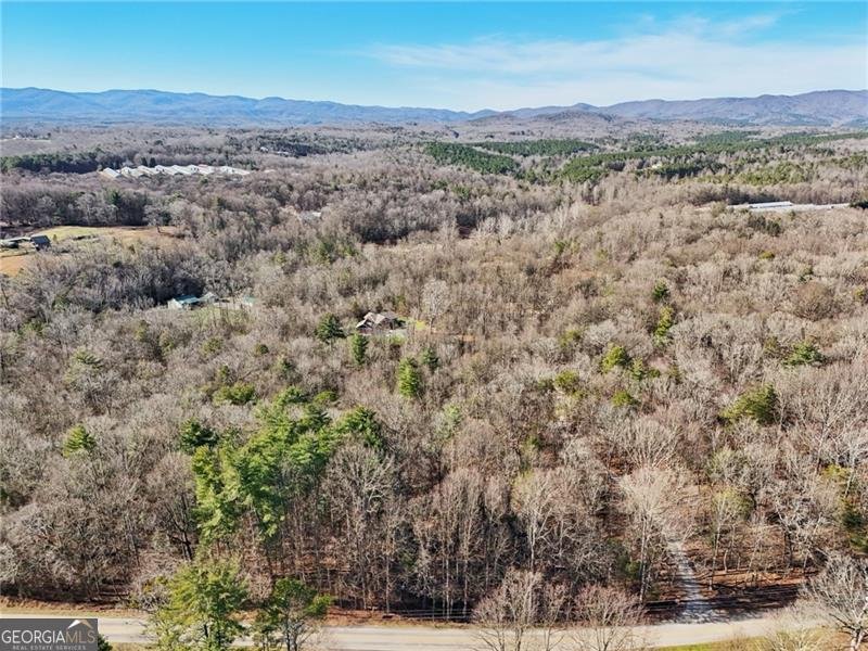 117 Joes Cove Dawsonville - Photo 65