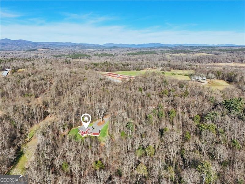 117 Joes Cove Dawsonville - Photo 67