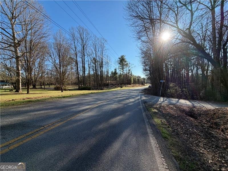 117 Joes Cove Dawsonville - Photo 68