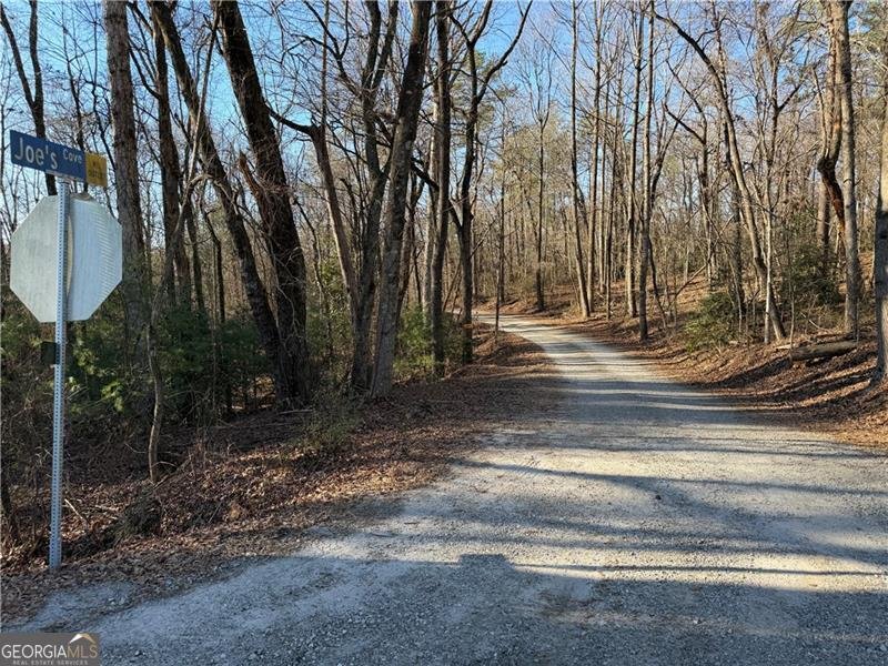 117 Joes Cove Dawsonville - Photo 69