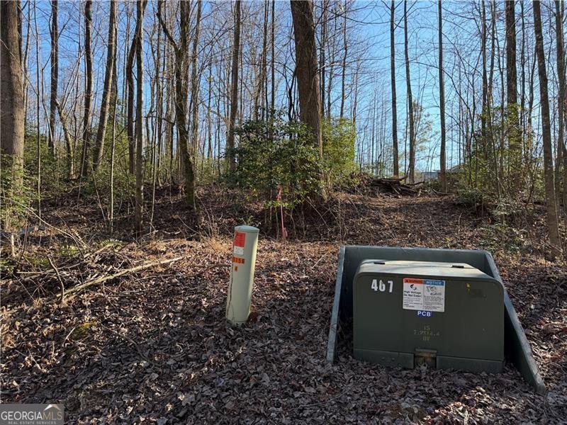 117 Joes Cove Dawsonville - Photo 70