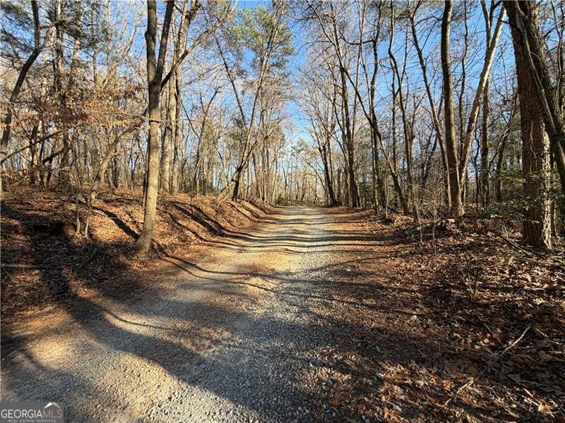 117 Joes Cove Dawsonville - Photo 71