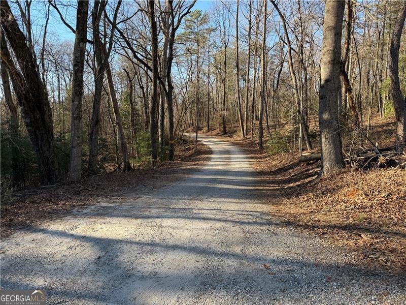 117 Joes Cove Dawsonville - Photo 72