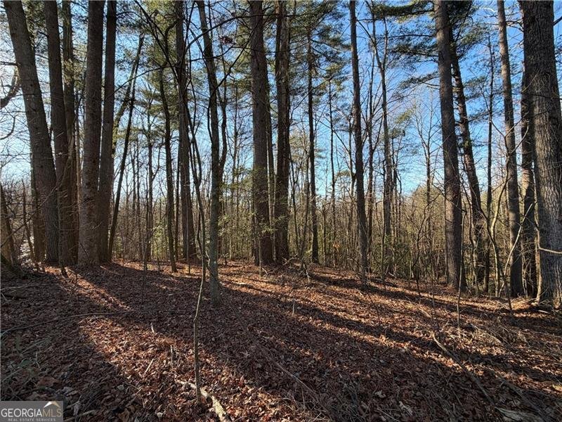 117 Joes Cove Dawsonville - Photo 73