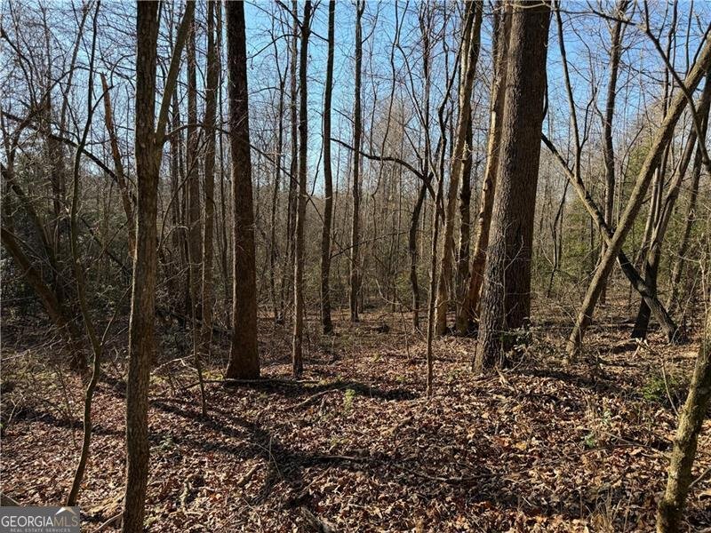 117 Joes Cove Dawsonville - Photo 74