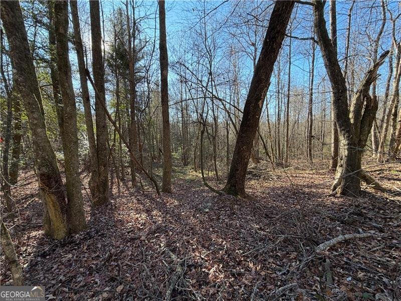 117 Joes Cove Dawsonville - Photo 75