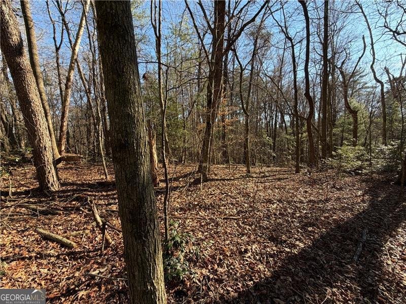 117 Joes Cove Dawsonville - Photo 76