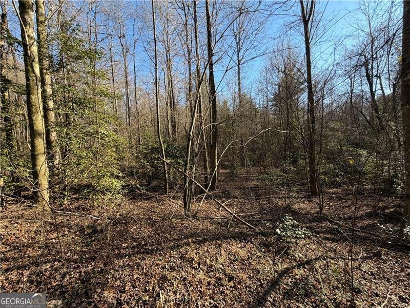 117 Joes Cove Dawsonville - Photo 77