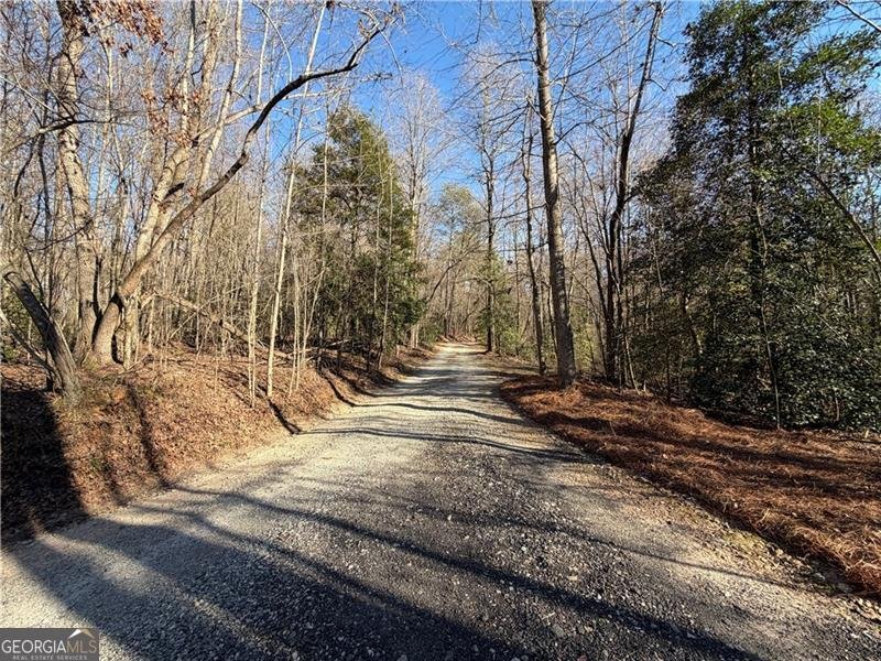 117 Joes Cove Dawsonville - Photo 78