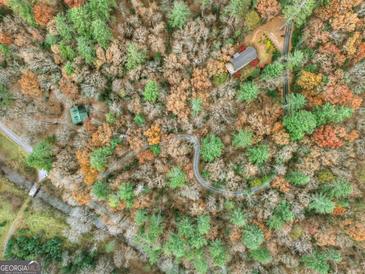 175 Big Creek Vista Blue Ridge - Photo 40