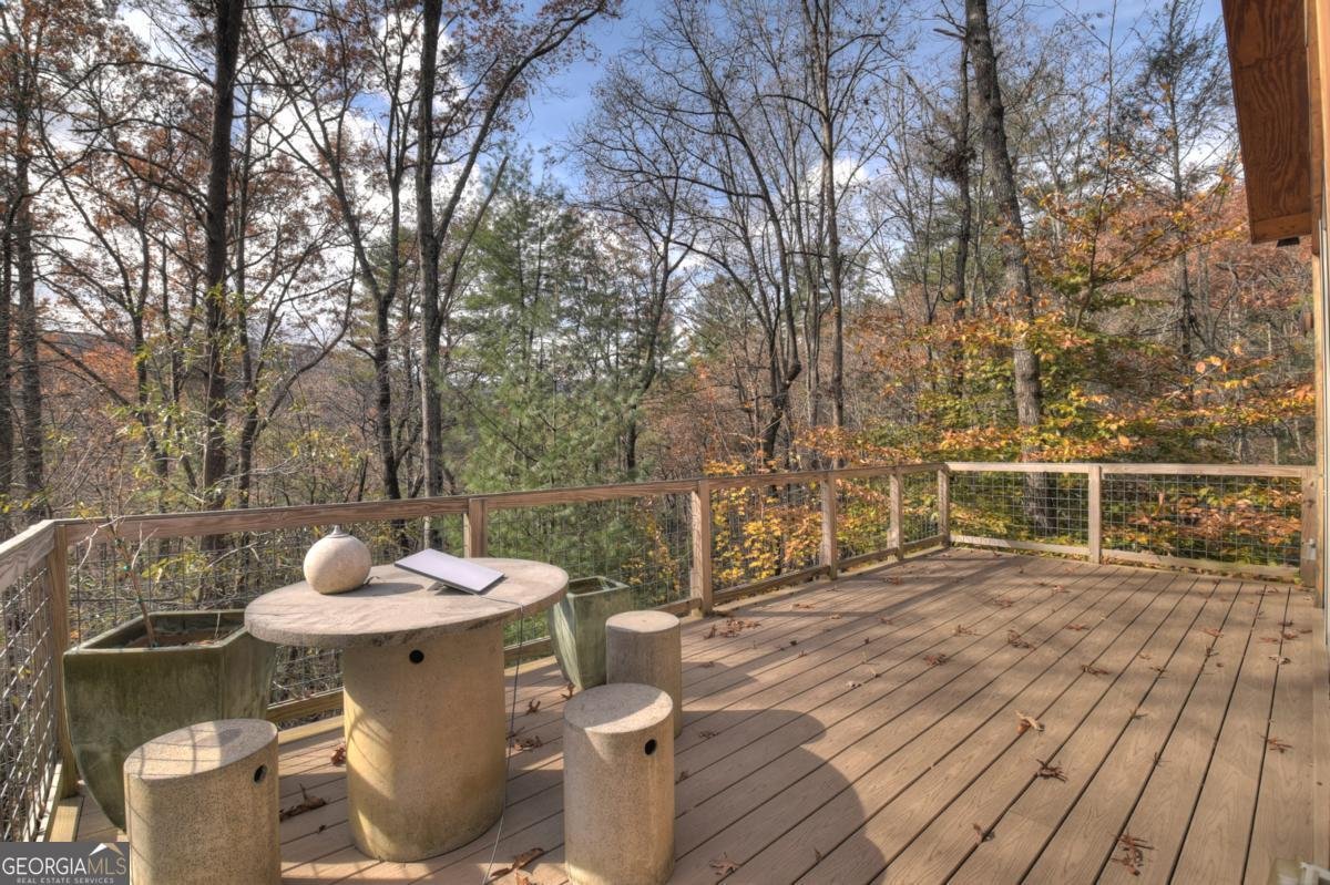 175 Big Creek Vista Blue Ridge - Photo 45