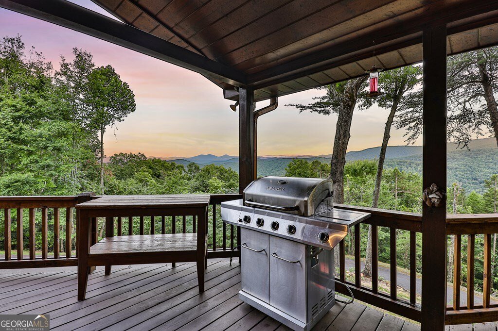 175 Cochise Road Blue Ridge - Photo 44