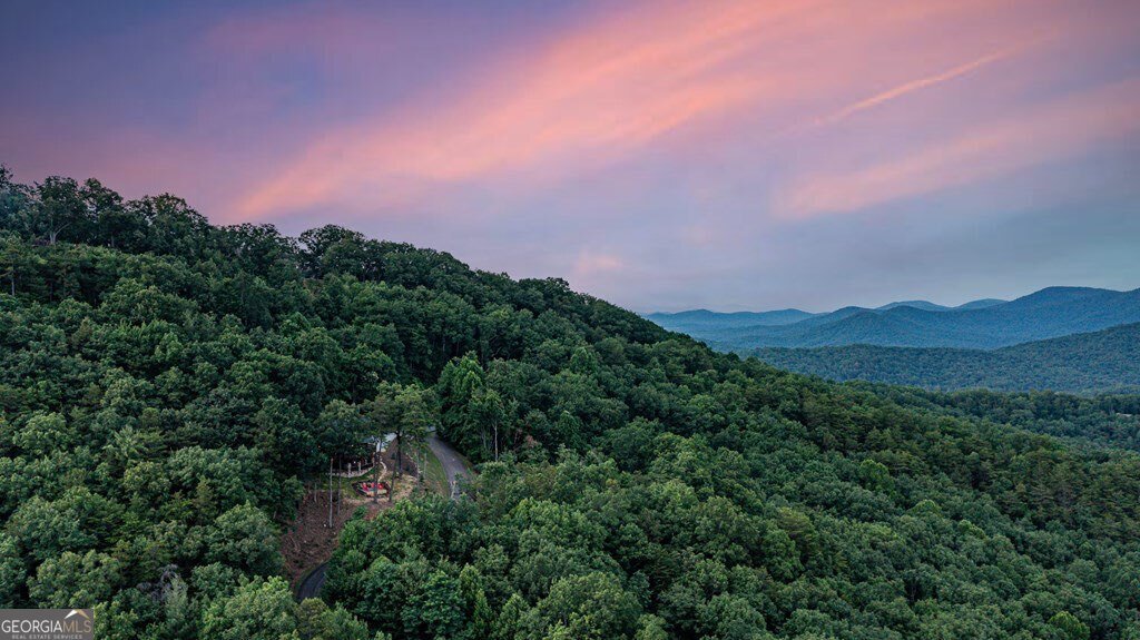 175 Cochise Road Blue Ridge - Photo 57