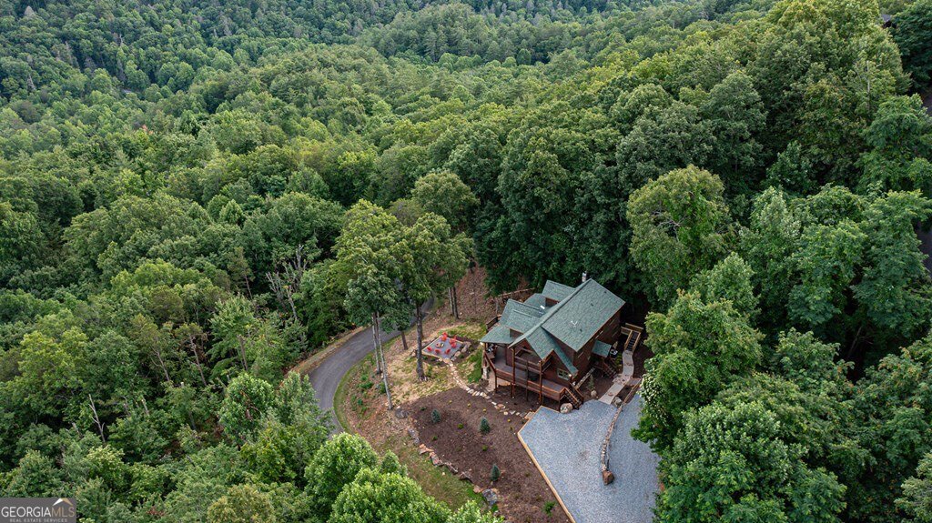 175 Cochise Road Blue Ridge - Photo 60