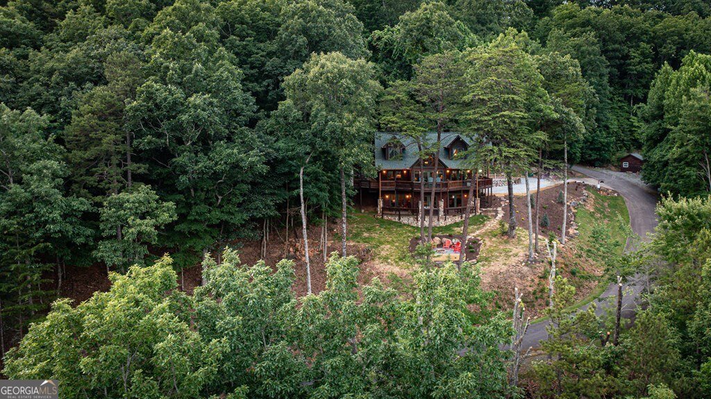 175 Cochise Road Blue Ridge - Photo 62