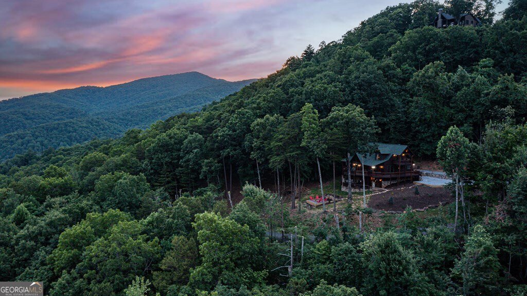 175 Cochise Road Blue Ridge - Photo 69