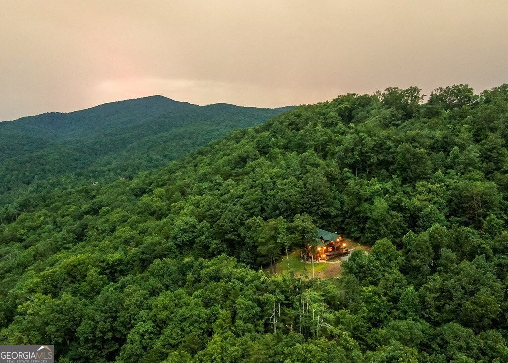 175 Cochise Road Blue Ridge - Photo 87