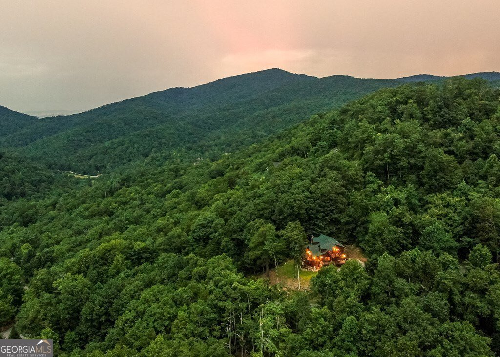 175 Cochise Road Blue Ridge - Photo 88