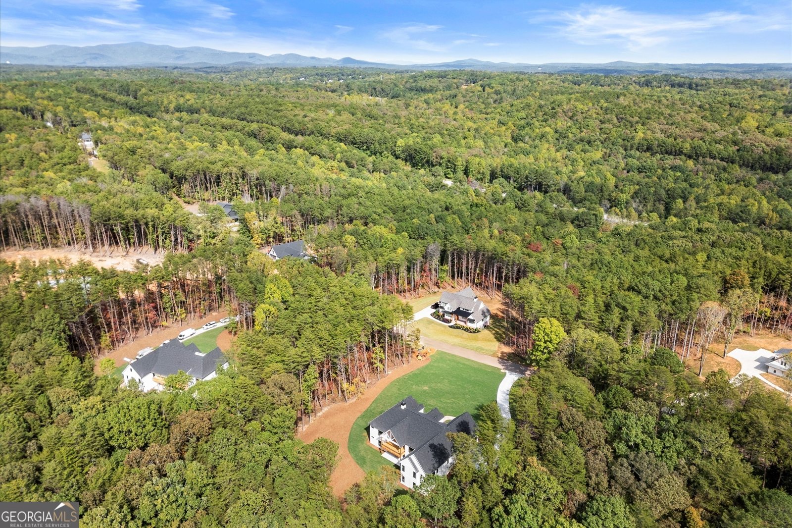 145 Highlands Chase Ball Ground - Photo 65