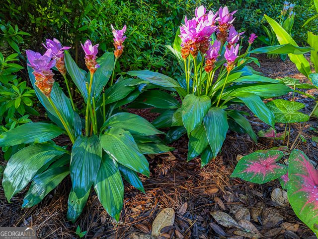 107 Wards Lane St. Marys - Photo 50