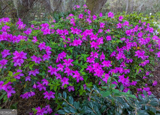 107 Wards Lane St. Marys - Photo 51