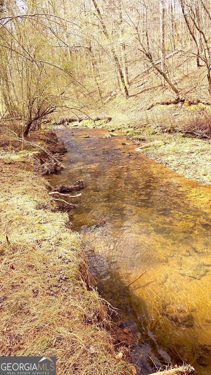 227 Fir Lane Ellijay - Photo 57