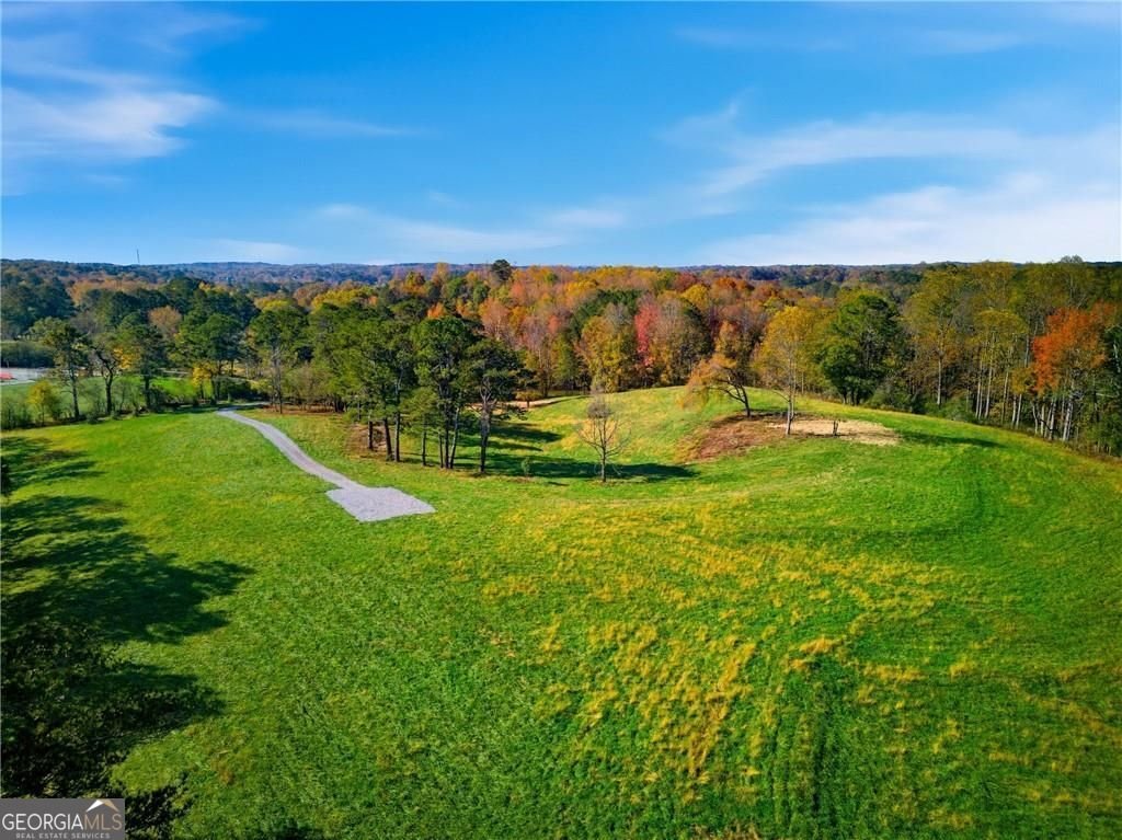 17230A Birmingham Highway Alpharetta - Photo 10