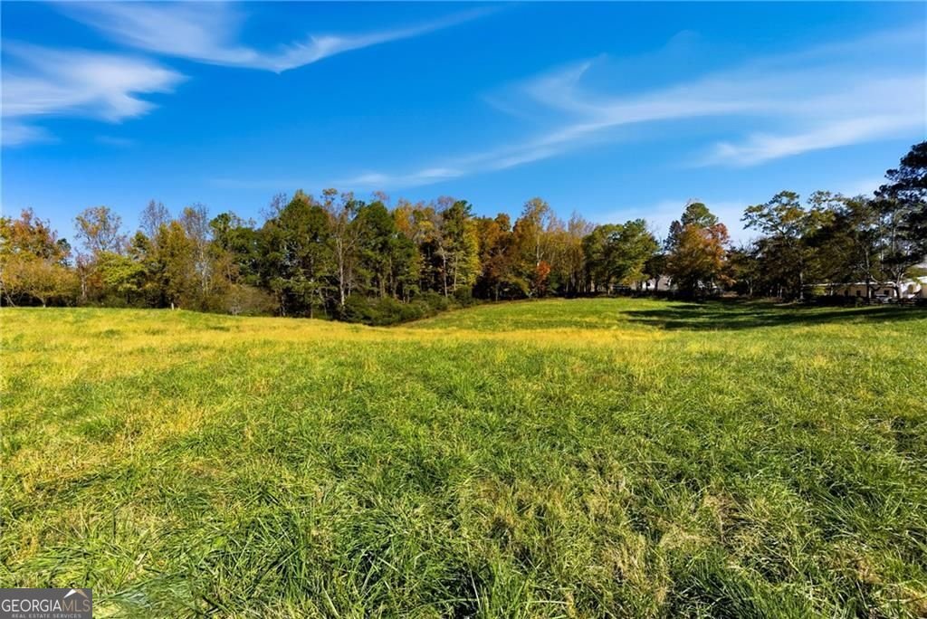 17230A Birmingham Highway Alpharetta - Photo 11