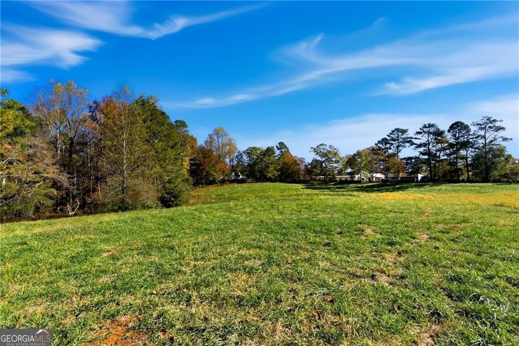 17230A Birmingham Highway Alpharetta - Photo 13