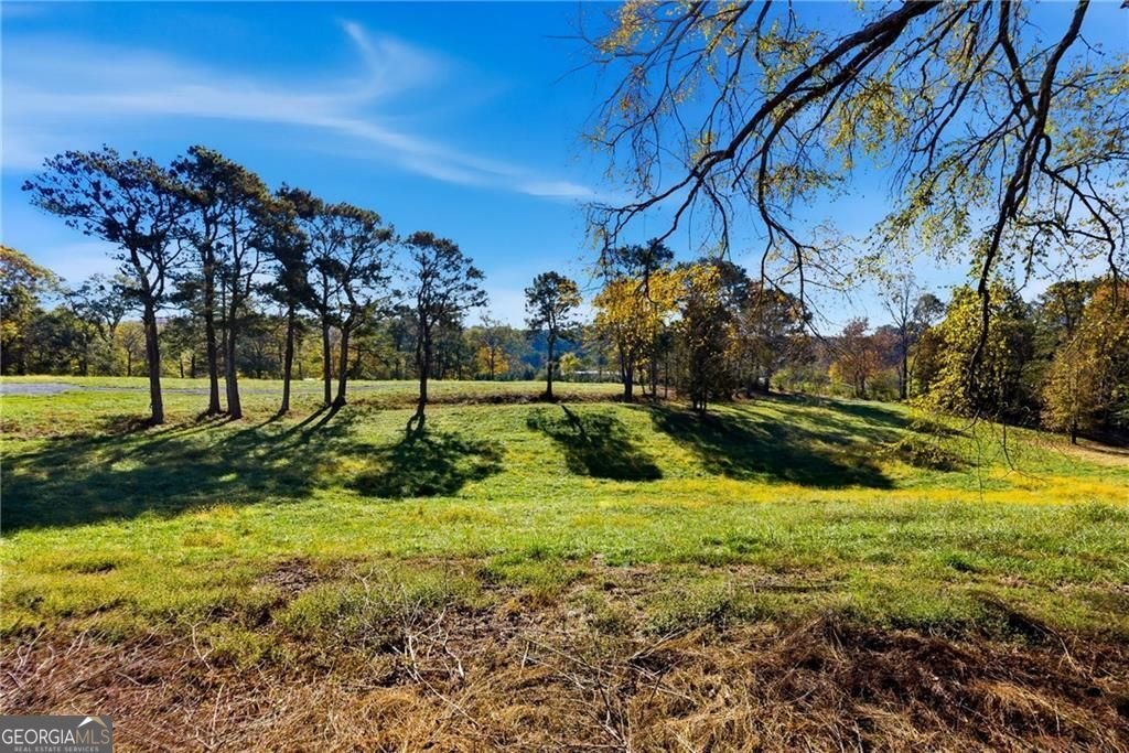 17230A Birmingham Highway Alpharetta - Photo 15