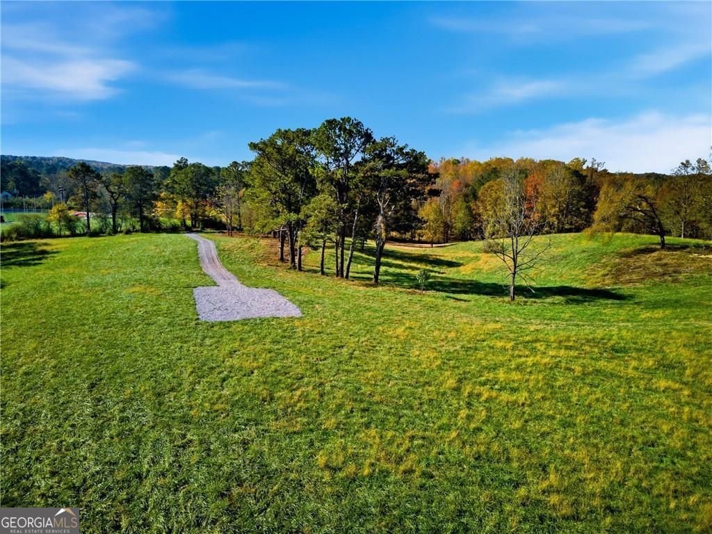 17230A Birmingham Highway Alpharetta - Photo 16