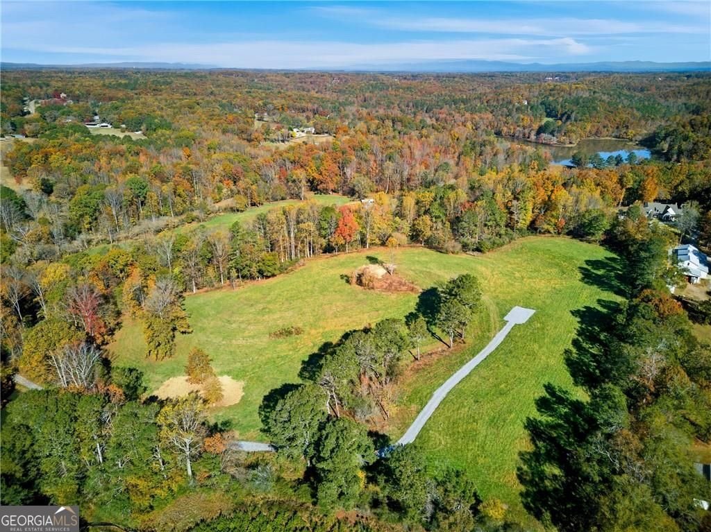 17230A Birmingham Highway Alpharetta - Photo 17